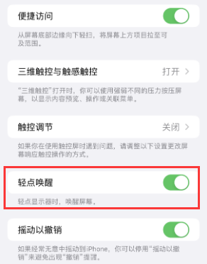 沈河苹果授权维修站分享iPhone轻点无法唤醒怎么办 