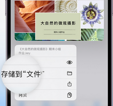 沈河apple维修中心分享iPhone文件应用中存储和找到下载文件