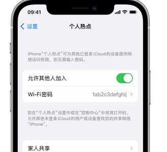 沈河apple服务站点分享iPhone上个人热点丢失了怎么办 