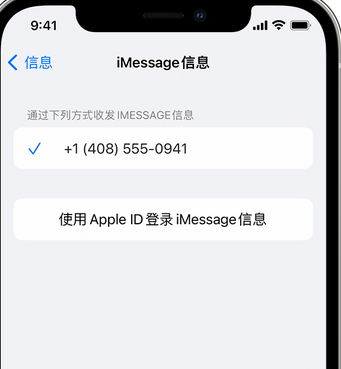 沈河apple维修iPhone上无法正常发送iMessage信息 