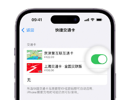 沈河apple维修点分享iPhone上更换Apple Pay快捷交通卡手绘卡面 