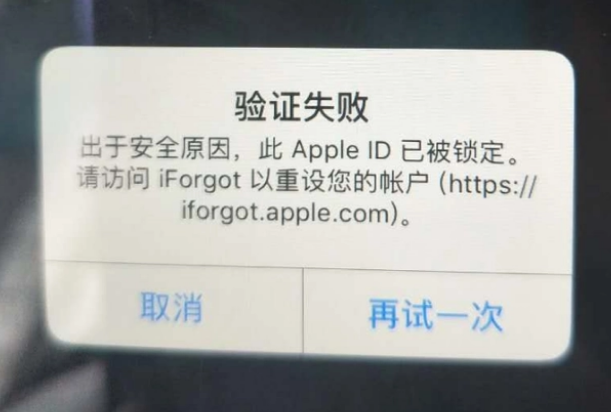 沈河iPhone维修分享iPhone上正常登录或使用AppleID怎么办 