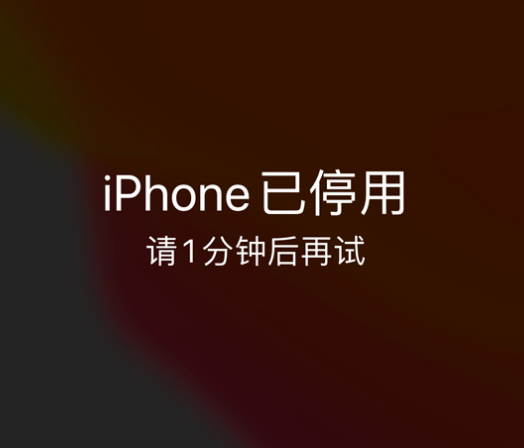 沈河苹果手机维修分享:iPhone 显示“不可用”或“已停用”怎么办？还能保留数据吗？ 