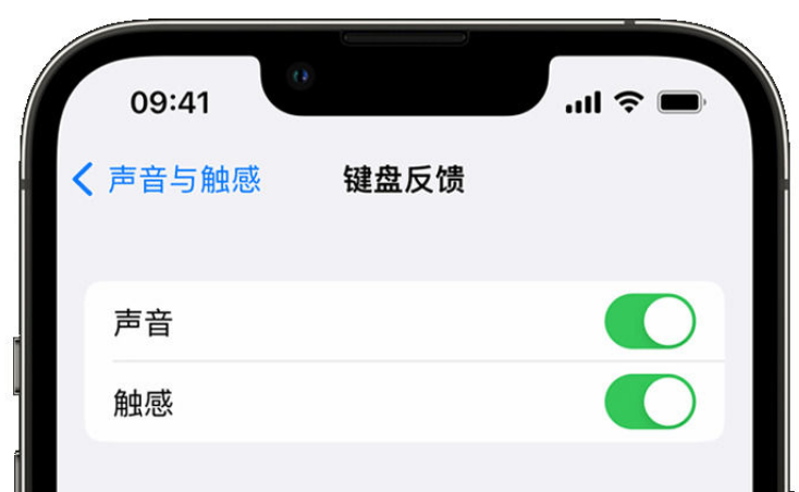 沈河苹果手机维修分享iPhone 14触感键盘使用方法 