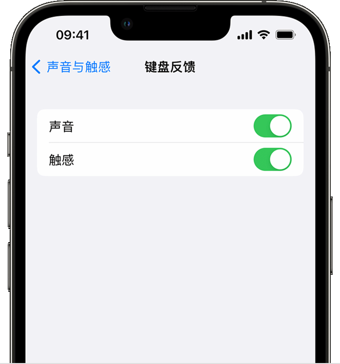 沈河苹果14维修店分享如何在 iPhone 14 机型中使用触感键盘 