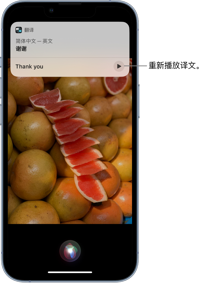 沈河苹果14维修分享 iPhone 14 机型中使用 Siri：了解 Siri 能帮你做什么 