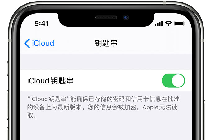 沈河苹果手机维修分享在 iPhone 上开启 iCloud 钥匙串之后会储存哪些信息 