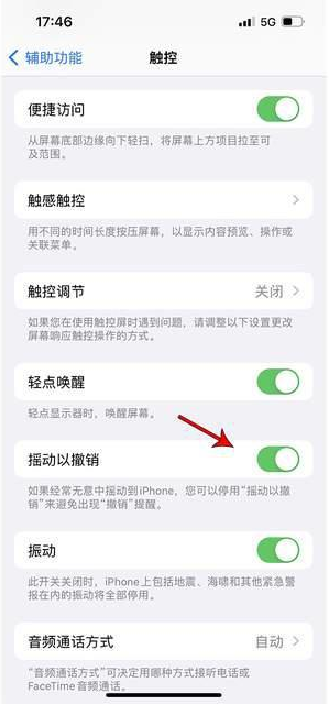 沈河苹果手机维修分享iPhone手机如何设置摇一摇删除文字 